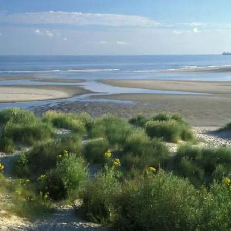 Beachside Apartment Close To De Panne 아파트 *