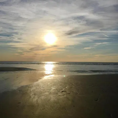 Beachside Apartment Close To De Panne 아파트 *